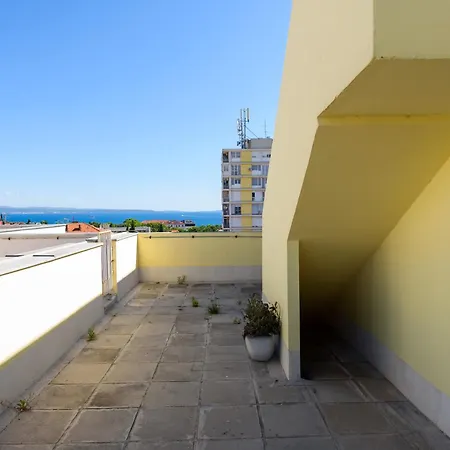 Apricus * سبليت
